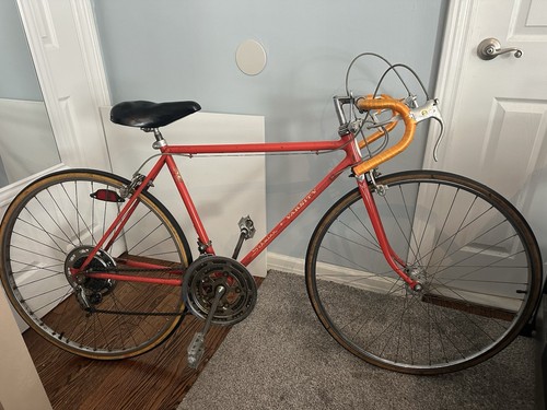 1974 schwinn speed original - schwinn,